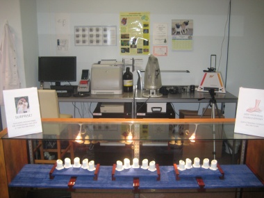 Showroom and Lab